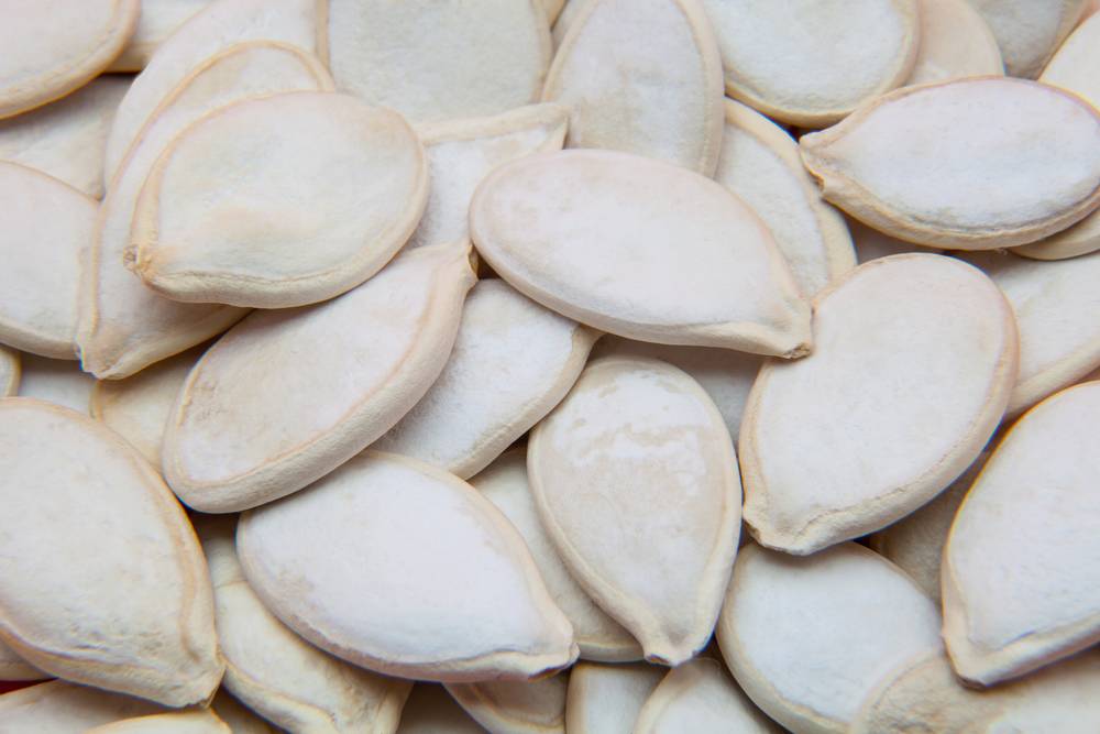 Snow White Pumpkin Seeds