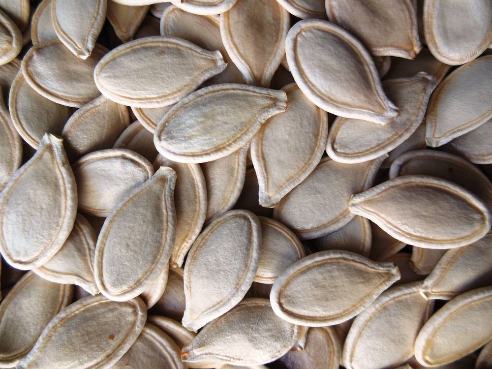 Shine Skin Pumpkin Seeds