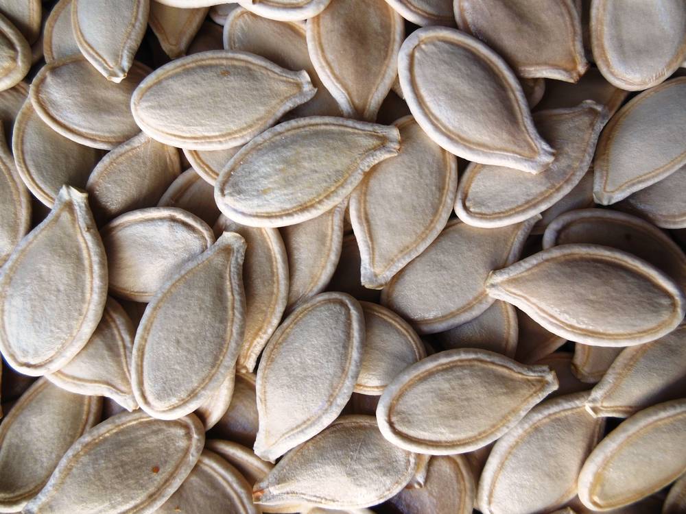 Shine Skin Pumpkin Seeds