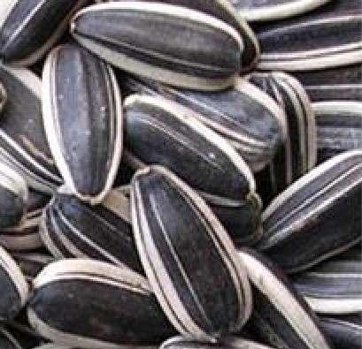 Black Sunflower Seeds